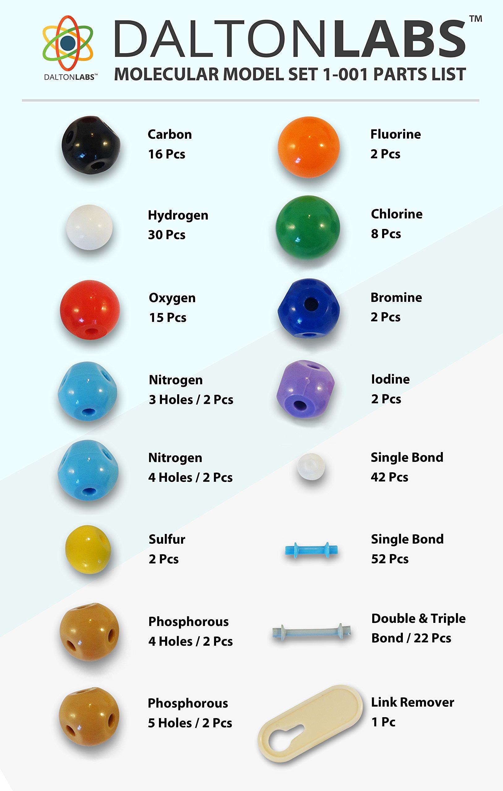 Molecular Model Kit with Molecule Modeling Software and User Guide